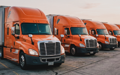 Como Grandes Empresas Escolhem uma Transportadora Especializada